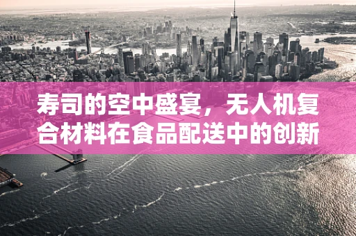 寿司的空中盛宴，无人机复合材料在食品配送中的创新挑战