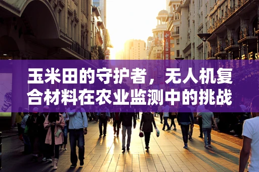 玉米田的守护者，无人机复合材料在农业监测中的挑战与机遇