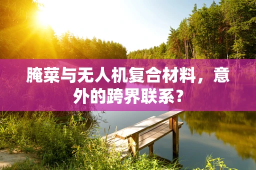 腌菜与无人机复合材料，意外的跨界联系？