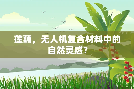 莲藕，无人机复合材料中的自然灵感？