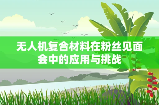 无人机复合材料在粉丝见面会中的应用与挑战