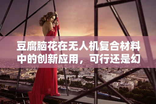 豆腐脑花在无人机复合材料中的创新应用，可行还是幻想？