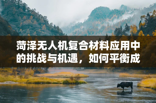 菏泽无人机复合材料应用中的挑战与机遇，如何平衡成本与性能？