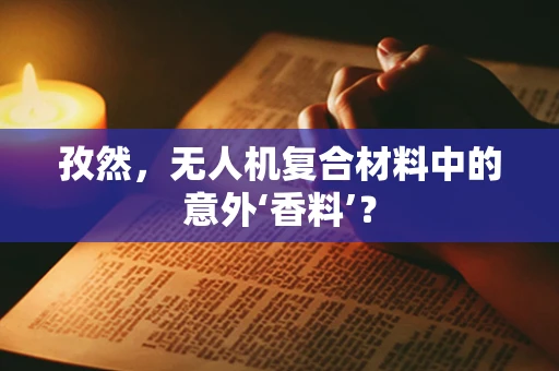 孜然，无人机复合材料中的意外‘香料’？