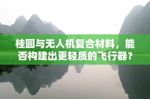 桂圆与无人机复合材料，能否构建出更轻质的飞行器？