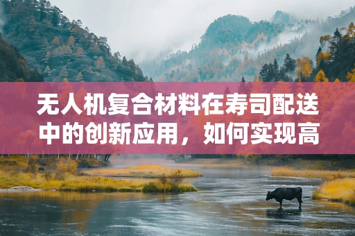 无人机复合材料在寿司配送中的创新应用，如何实现高效、安全与美味的完美结合？