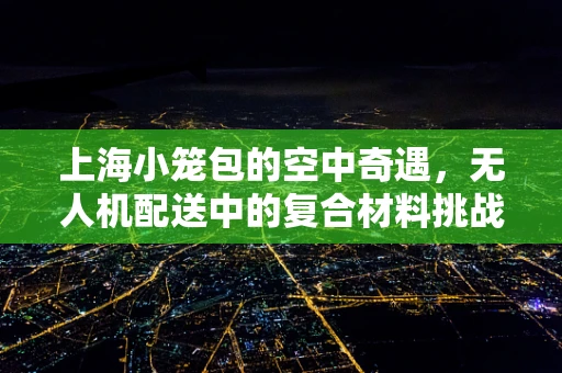 上海小笼包的空中奇遇，无人机配送中的复合材料挑战