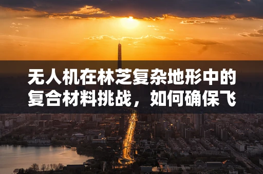 无人机在林芝复杂地形中的复合材料挑战，如何确保飞行稳定与安全？