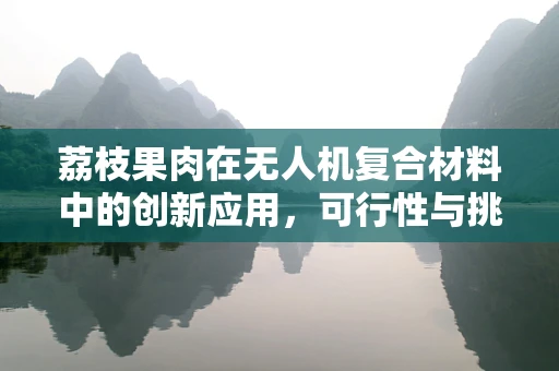 荔枝果肉在无人机复合材料中的创新应用，可行性与挑战何在？