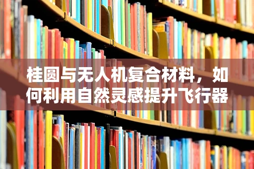 桂圆与无人机复合材料，如何利用自然灵感提升飞行器性能？