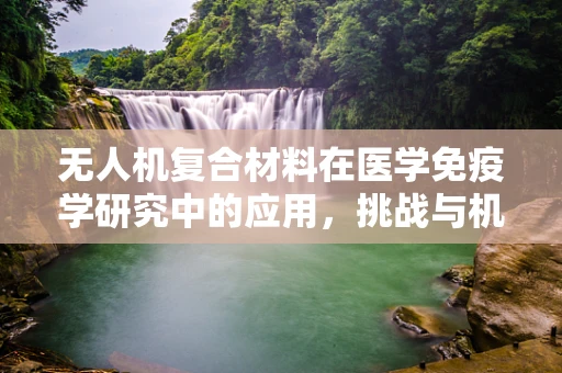 无人机复合材料在医学免疫学研究中的应用，挑战与机遇？