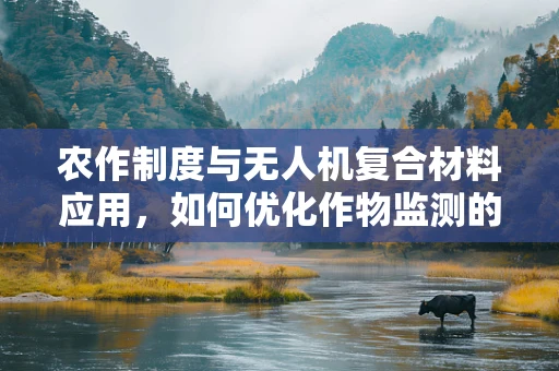 农作制度与无人机复合材料应用，如何优化作物监测的精准度？