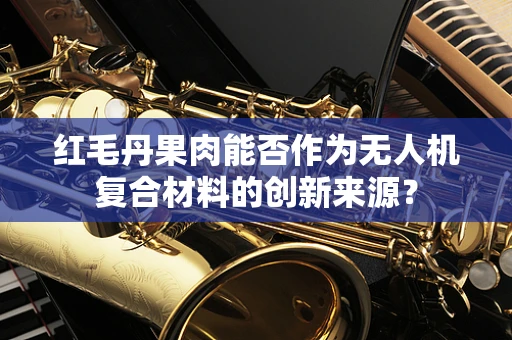 红毛丹果肉能否作为无人机复合材料的创新来源？