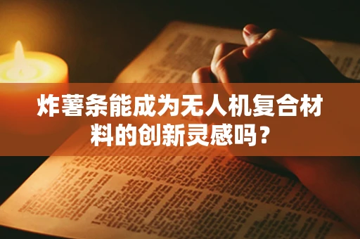 炸薯条能成为无人机复合材料的创新灵感吗？