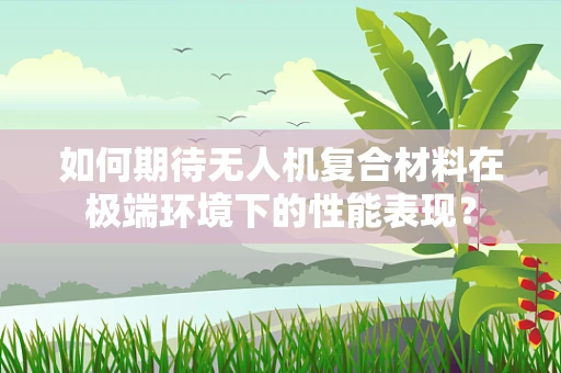 如何期待无人机复合材料在极端环境下的性能表现？