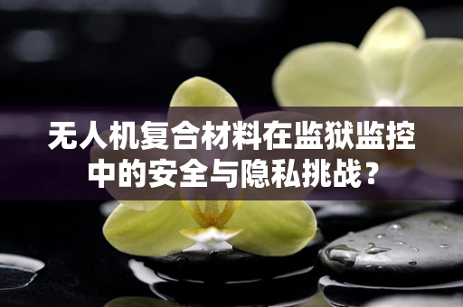 无人机复合材料在监狱监控中的安全与隐私挑战？