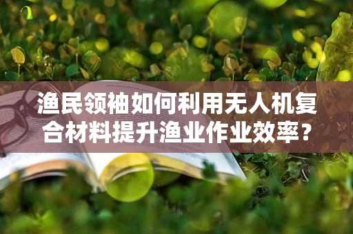 渔民领袖如何利用无人机复合材料提升渔业作业效率？