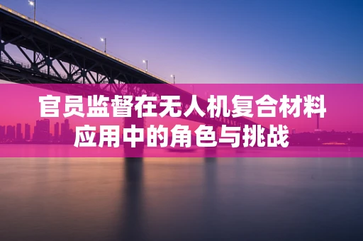 官员监督在无人机复合材料应用中的角色与挑战