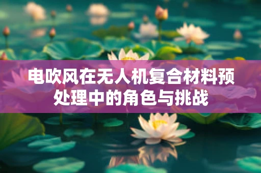 电吹风在无人机复合材料预处理中的角色与挑战