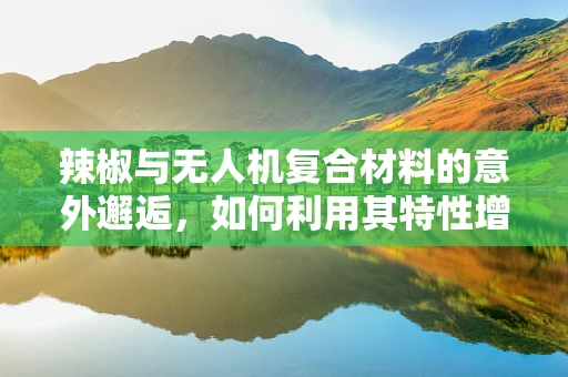 辣椒与无人机复合材料的意外邂逅，如何利用其特性增强飞行稳定性？