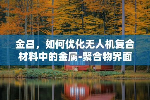 金昌，如何优化无人机复合材料中的金属-聚合物界面性能？