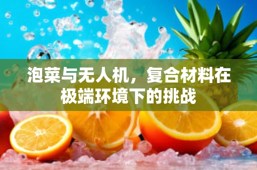 泡菜与无人机，复合材料在极端环境下的挑战