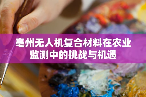 亳州无人机复合材料在农业监测中的挑战与机遇