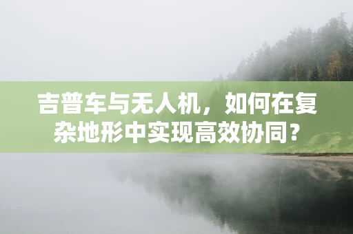 吉普车与无人机，如何在复杂地形中实现高效协同？