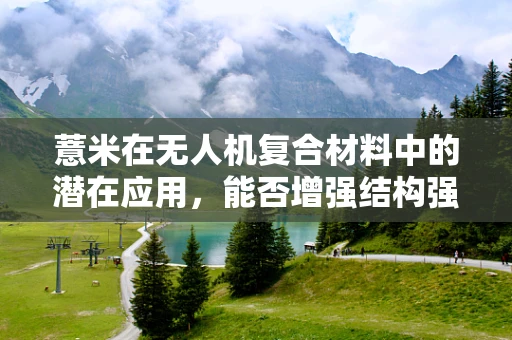 薏米在无人机复合材料中的潜在应用，能否增强结构强度与轻量化？
