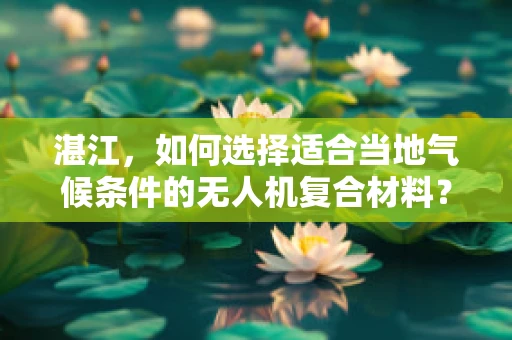 湛江，如何选择适合当地气候条件的无人机复合材料？