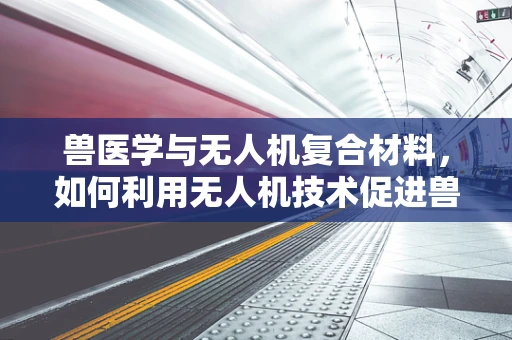 兽医学与无人机复合材料，如何利用无人机技术促进兽医诊断的精准性？