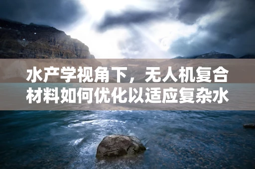 水产学视角下，无人机复合材料如何优化以适应复杂水生环境？