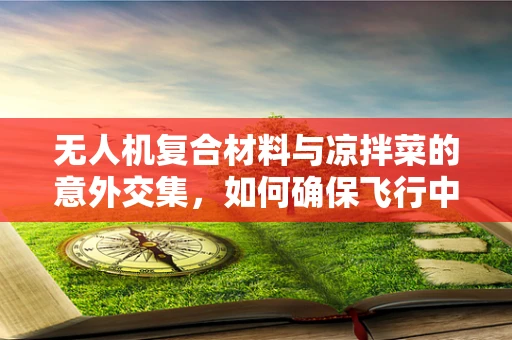 无人机复合材料与凉拌菜的意外交集，如何确保飞行中的食材安全？