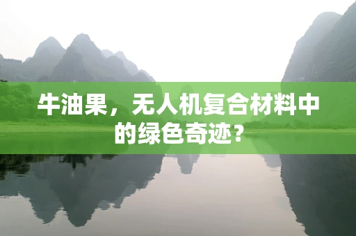 牛油果，无人机复合材料中的绿色奇迹？