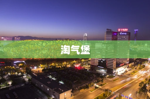 淘气堡