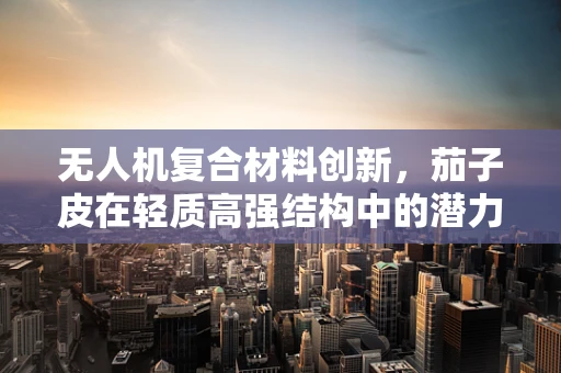 无人机复合材料创新，茄子皮在轻质高强结构中的潜力？