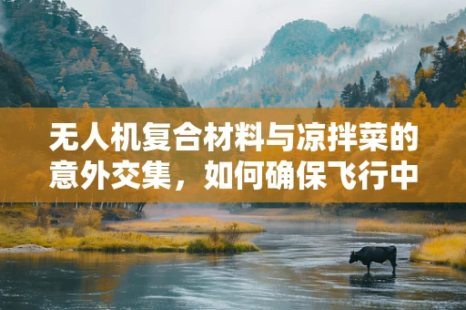 无人机复合材料与凉拌菜的意外交集，如何确保飞行中的食材安全？