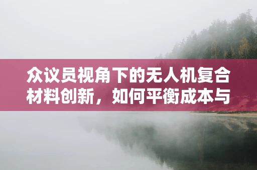 众议员视角下的无人机复合材料创新，如何平衡成本与性能？