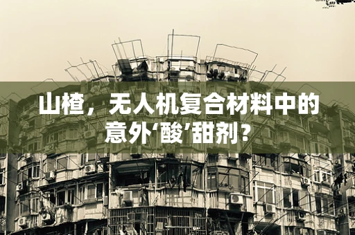 山楂，无人机复合材料中的意外‘酸’甜剂？