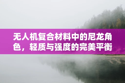 无人机复合材料中的尼龙角色，轻质与强度的完美平衡？