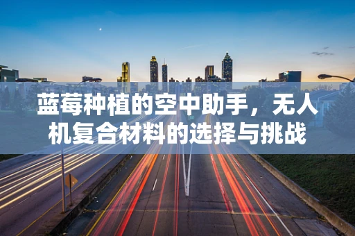 蓝莓种植的空中助手，无人机复合材料的选择与挑战