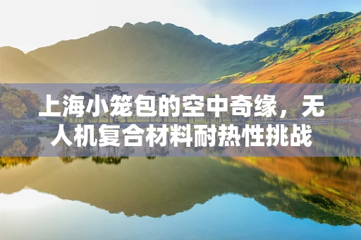 上海小笼包的空中奇缘，无人机复合材料耐热性挑战