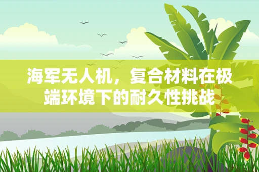 海军无人机，复合材料在极端环境下的耐久性挑战