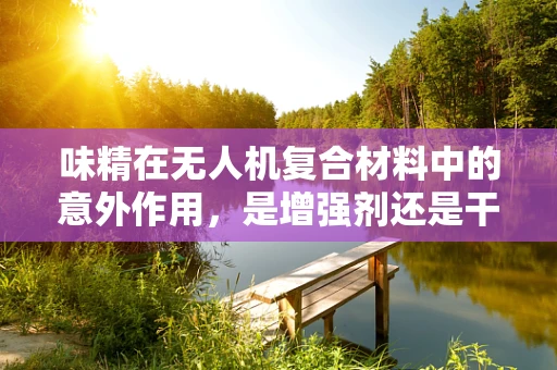 味精在无人机复合材料中的意外作用，是增强剂还是干扰源？