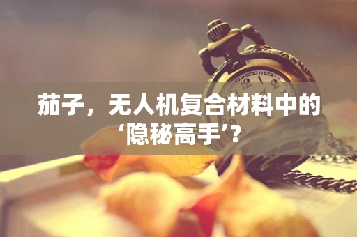 茄子，无人机复合材料中的‘隐秘高手’？
