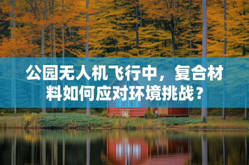 公园无人机飞行中，复合材料如何应对环境挑战？