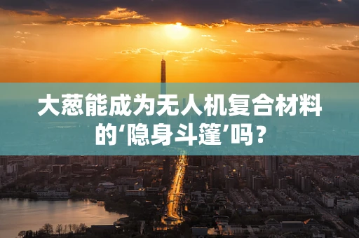 大葱能成为无人机复合材料的‘隐身斗篷’吗？