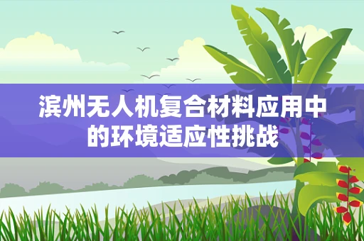 滨州无人机复合材料应用中的环境适应性挑战