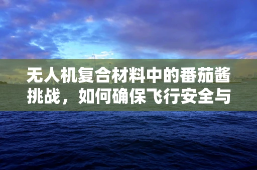 无人机复合材料中的番茄酱挑战，如何确保飞行安全与物料兼容性？
