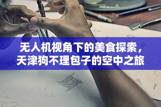 无人机视角下的美食探索，天津狗不理包子的空中之旅